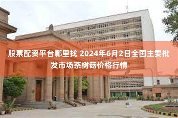 股票配资平台哪里找 2024年6月2日全国主要批发市场茶树菇价格行情