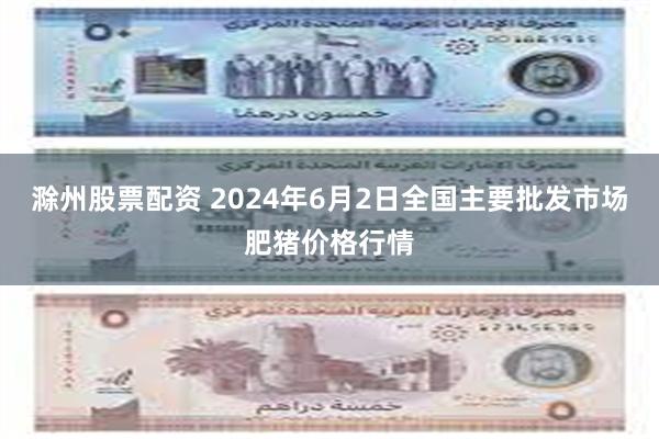 滁州股票配资 2024年6月2日全国主要批发市场肥猪价格行情